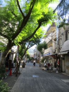 バラ園へ続く道「谷津遊路商店街」‐習志野市